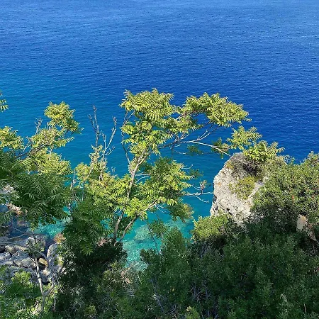 Casa * Scilla